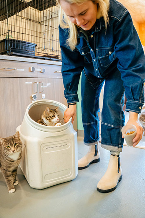 A woman in a denim outfit gives treats to two cats; one cat is inside a white storage bin while the other stands next to her on the floor.