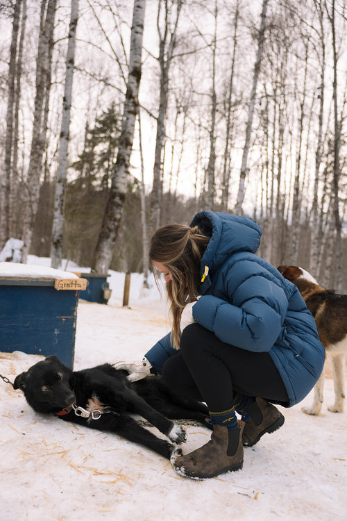 A woman in a blue winter coat kneels on snowy ground to pet a black dog lying on its back, surrounded by birch trees and more dogs in a wintry outdoor setting.