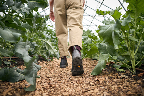 Person wearing beige pants and black boots walks down a wood chip path between rows of leafy green plants inside a greenhouse. The image is taken from behind at ground level.