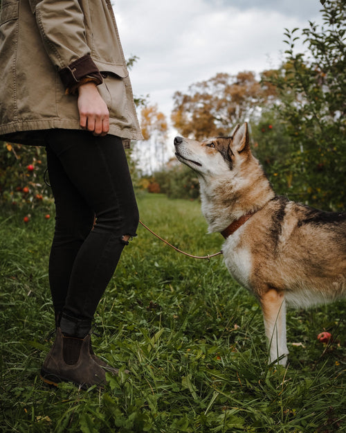 Lifestyle Women 10 image of Blundstone Women's Classics #1944 in Rustic Brown / Mustard-Black