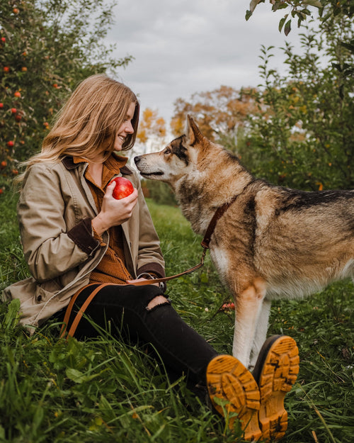 Lifestyle Women 9 image of Blundstone Women's Classics #1944 in Rustic Brown / Mustard-Black