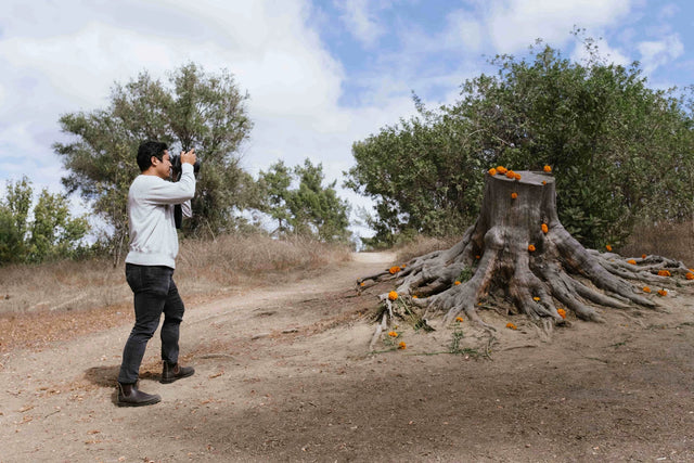 LIMB Justin Chung