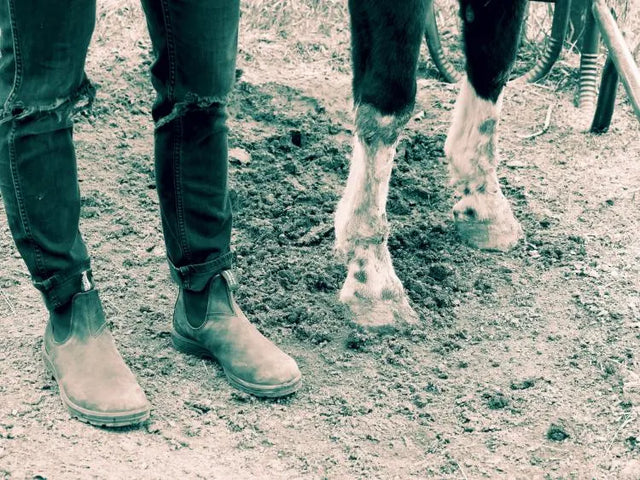 Outside in Coats Talks About Boot History & The Blundstone 550