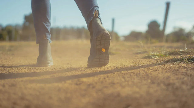 What are Paddock Boots?