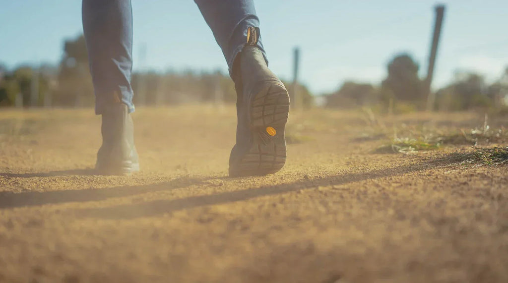 What are Paddock Boots?