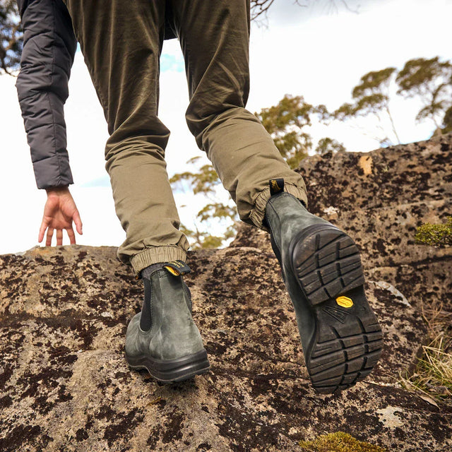 Trends from Off Road to Horses with T3 & TZR