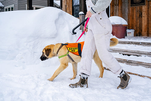 Women's Classics #1944