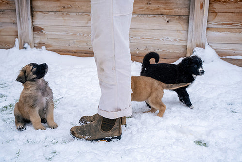 Women's Classics #1944