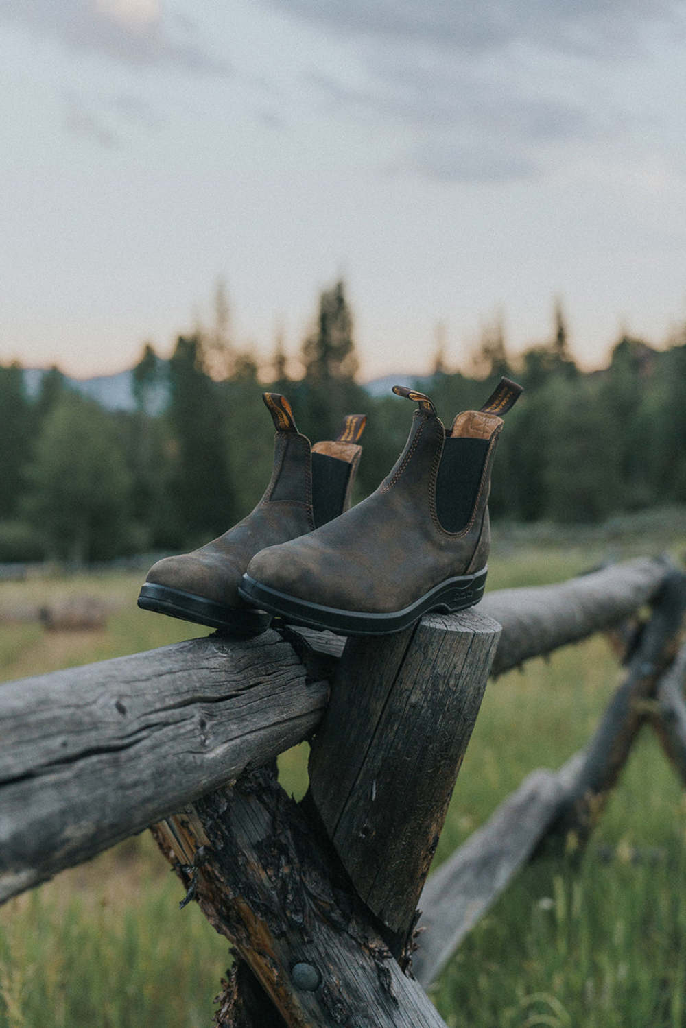 Rustic Brown Premium Leather Chelsea Boots, Women's All-Terrain