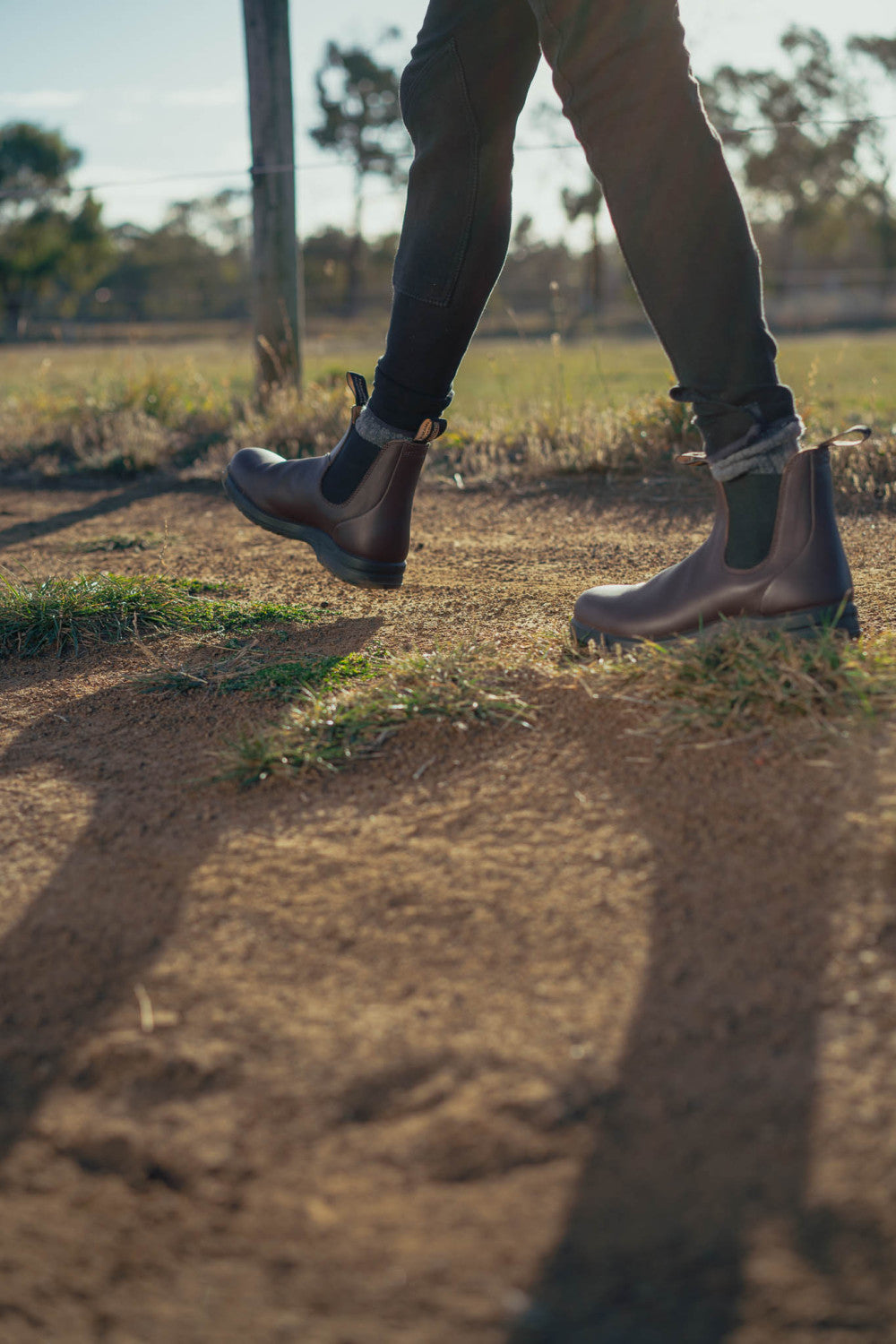 Cocoa Brown Premium Leather Chelsea Boots, Women's All-Terrain