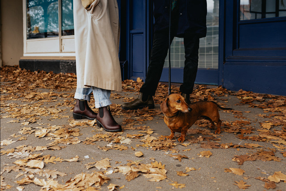 Shiraz Leather Heeled Boots, Women's Series 2060 - Blundstone
