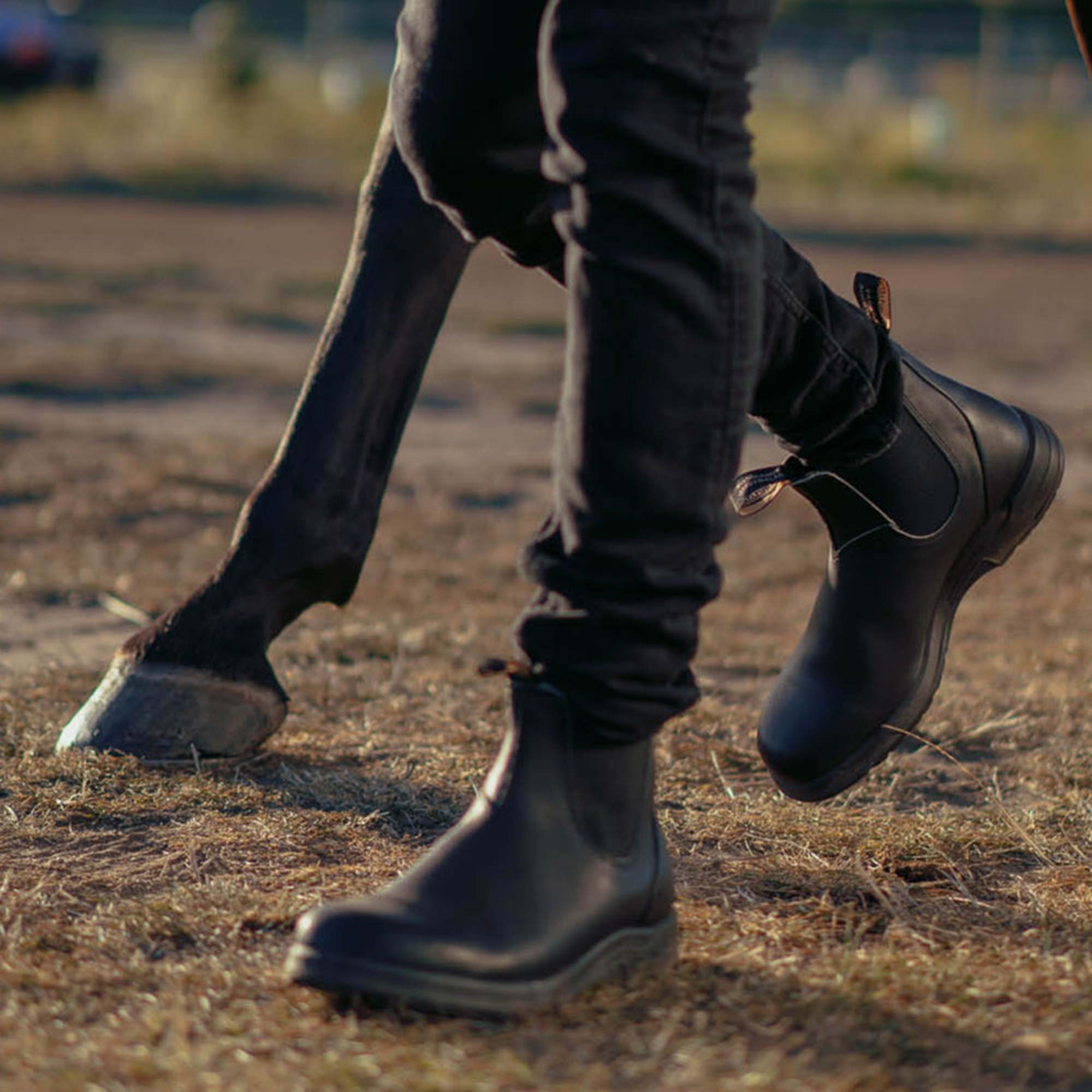 Black Premium Leather Chelsea Boots, Women's All-Terrain 2058