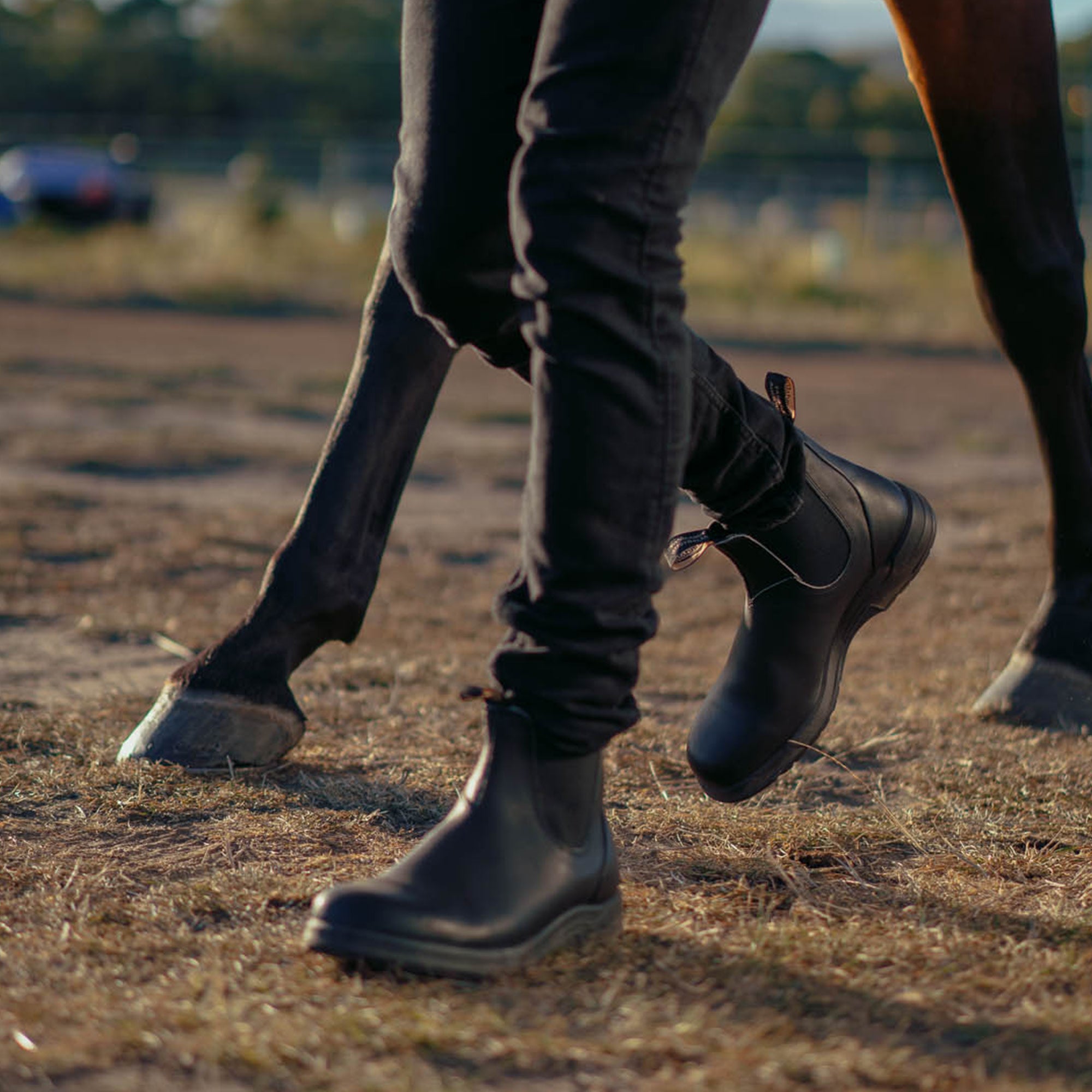 Black Premium Leather Chelsea Boots, Women's All-Terrain 2058