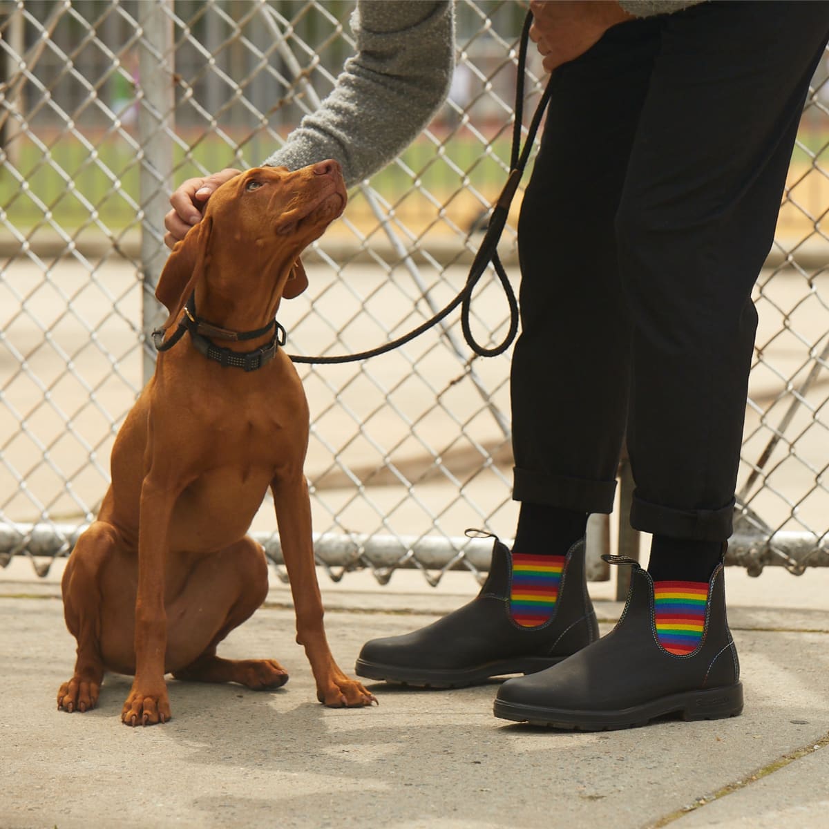 Blundstone deals rainbow elastic